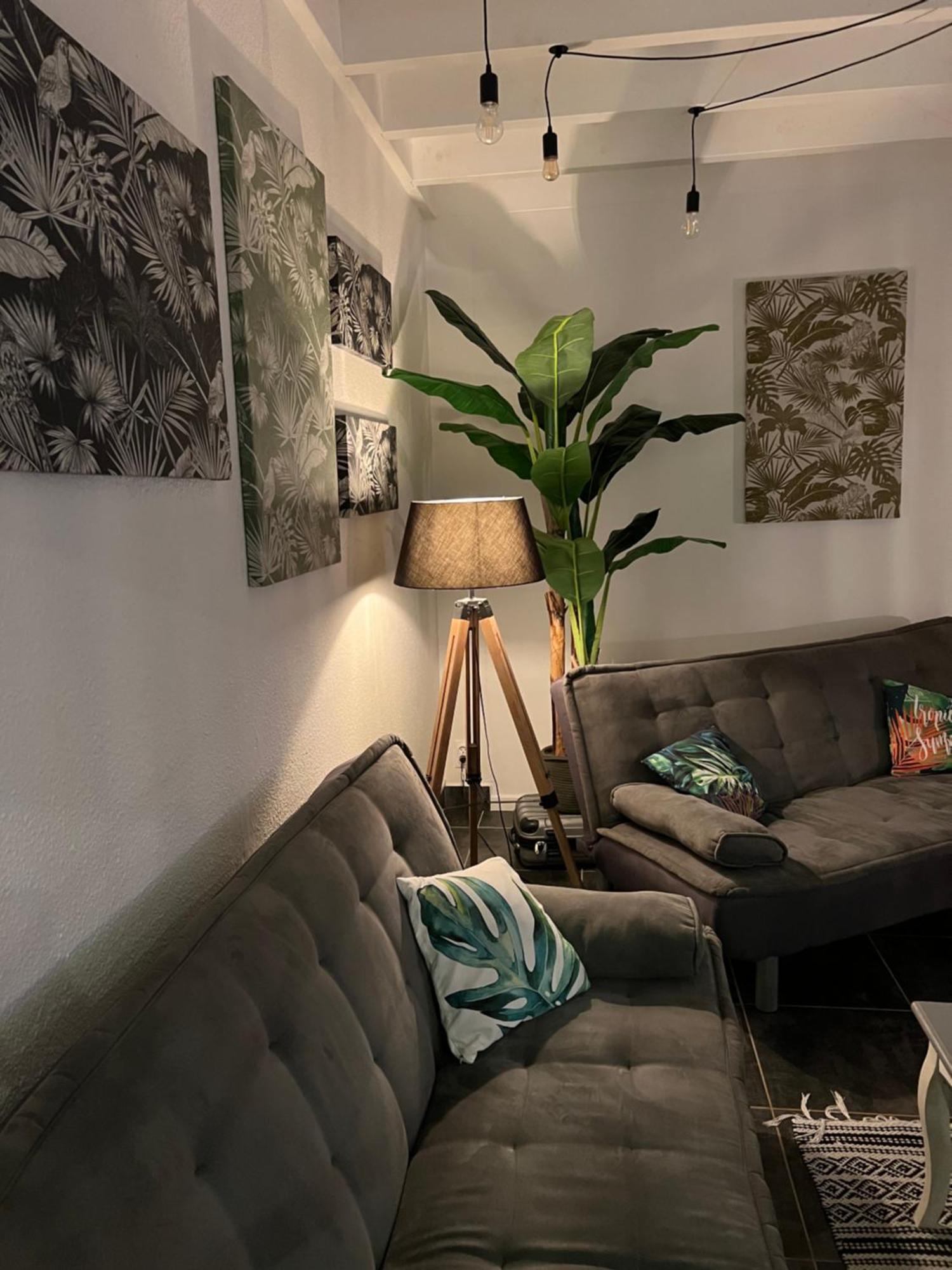 Appartement Spacieux Au Village Du Flamboyant Baie Nettle Buitenkant foto